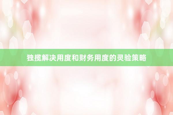 独揽解决用度和财务用度的灵验策略